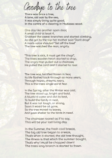 Year 7 Nature Enthusiast pens delightful tribute to a Tree in a Young Writers Competition.