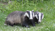 Exploring Biodiversity: The New School Club Promoting Nature Awareness