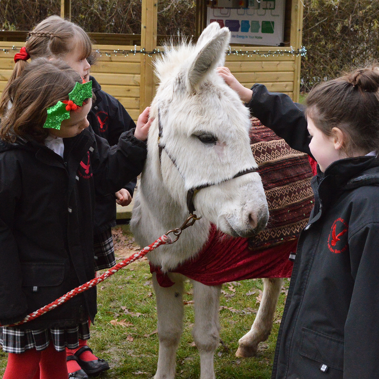 Festive treat for Pre-Prep 