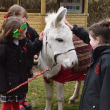 Festive treat for Pre-Prep 