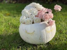 Pumpkin Competition 2020